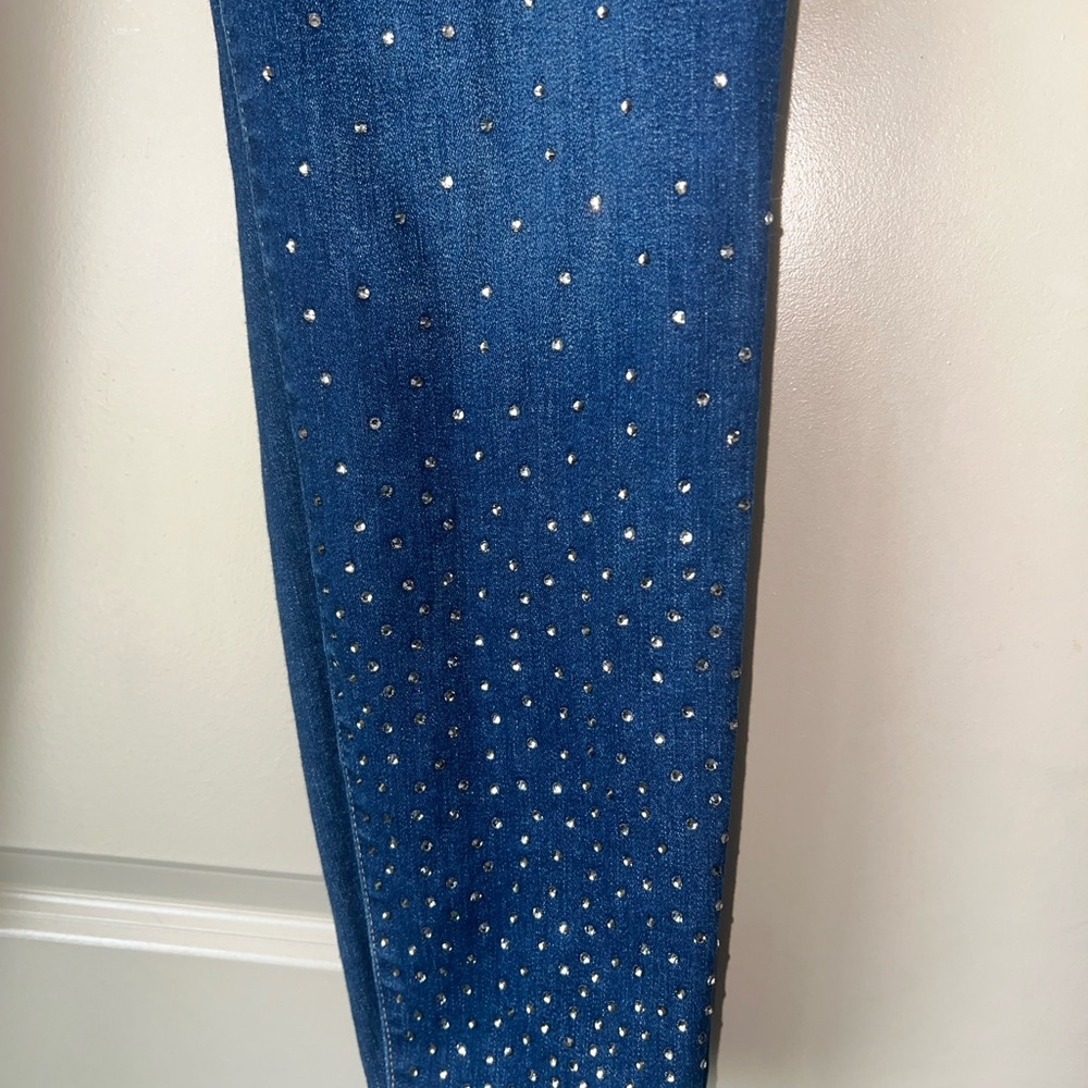 Lane Bryant Signature Fit Skinny Jean With Rhinestones - Picture 4 of 10